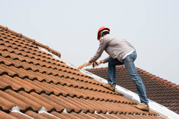 Best Gutter Installation and Repair  in Governors Village, NC