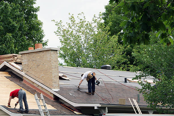Best Roof Moss and Algae Removal  in Governors Village, NC